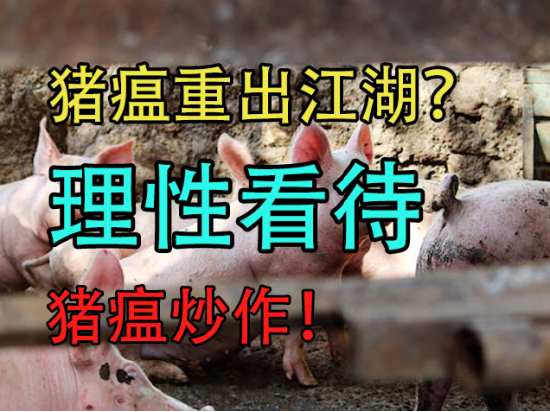 中粮期货：猪瘟重出江湖？理性看待猪瘟炒作！