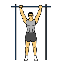 背阔肌的攻略大法：2招练出背阔肌，给你的上肢注满了力量