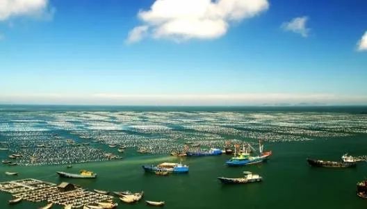 中国最大的渔场——舟山渔场也是洋流造成的。| 图源网络