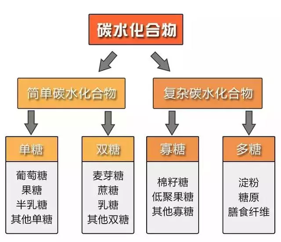 减肥最火的季节，有多少人被「低碳水饮食」欺骗？