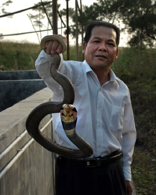 广西南宁地震局局长蒋维松手里抓着一条蛇，他认为观察蛇的异常行为可能有助于预测地震。