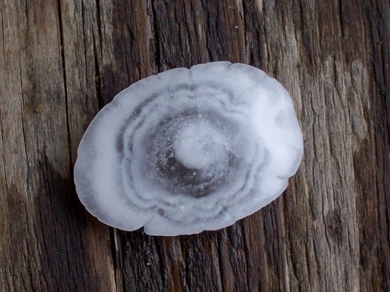 冰雹内部的“洋葱”结构（图片来源：ERZ/wikipedia）