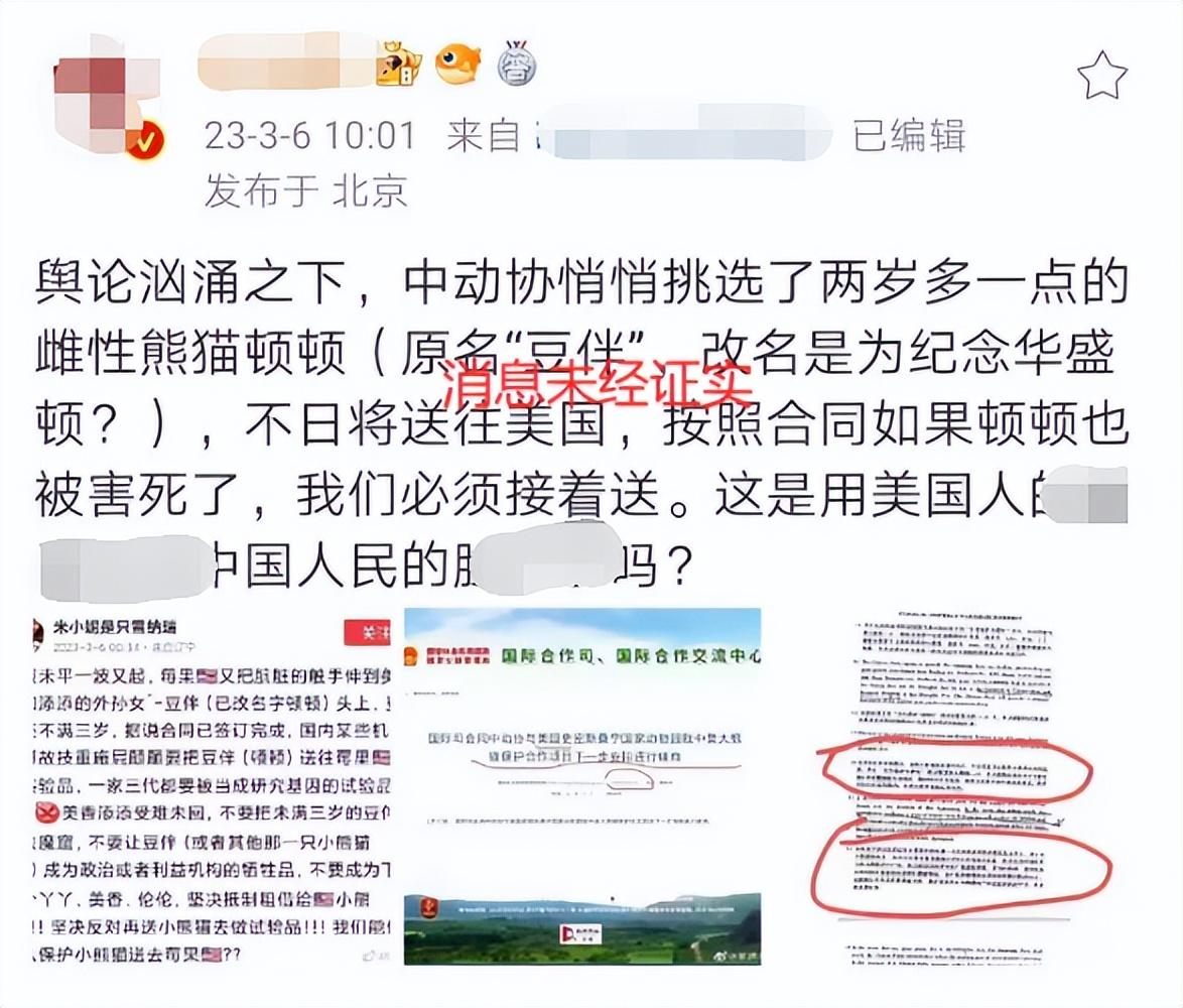 被“虐待”的丫丫还没回家！为什么还要给美国送新的熊猫？