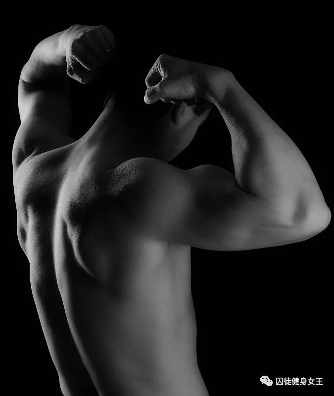 背部肌肉发达才会让你更壮，别再忽略了！三个动作轰炸背部