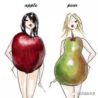 苹果型身材减肥的六个黄金动作，坚持锻炼，拥有身材曲线