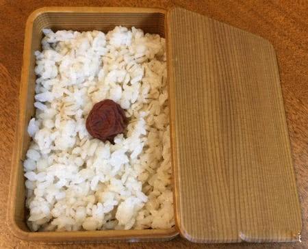尝到失败恶果的日本人最后吃什么：蚯蚓、蛤蟆、老鼠、锯末