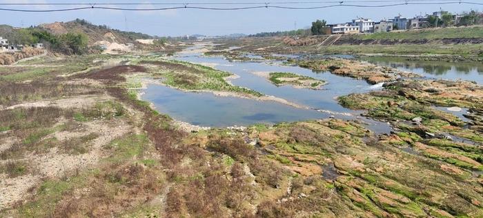 长江某支流一处采砂厂附近的河床。 （新华社记者董雪 摄）