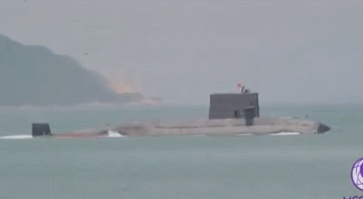 美军拟用石斑鱼探测中国潜艇？网友：你对中国吃货力量一无所知！
