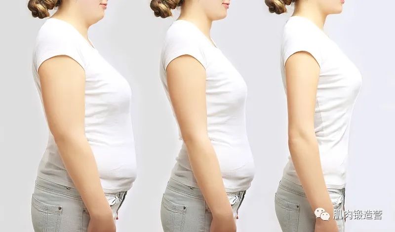 关于减肥99%的女性都想知道的超实用干货分享