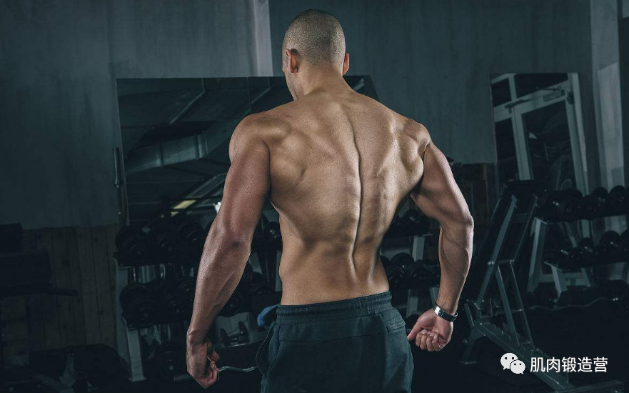 在背部训练中，做好这2个重要的点，助你练出宽大背肌
