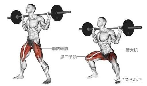 股四头肌重要吗？又要怎么训练？三个动作让你拥有强大肌肉