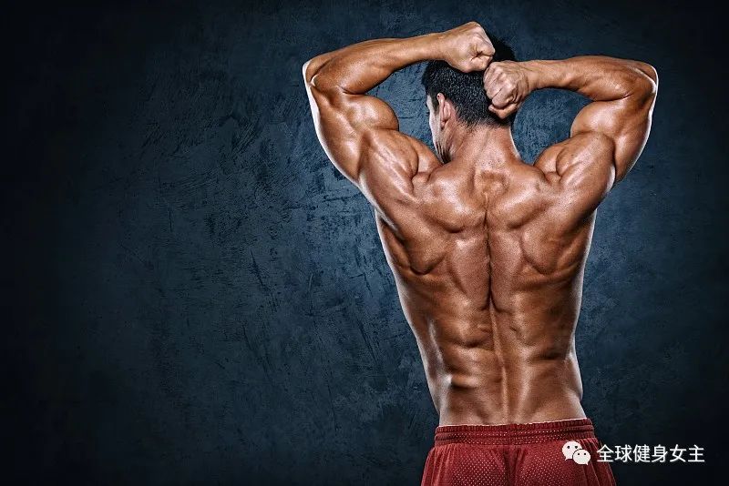 不知道背部肌肉怎么练？学会这些方法，背部肌肉就会得到增长！