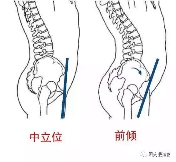 想要练出腹肌，却老是做无用功，怎样虐腹才最有效？