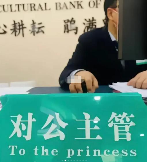  Princess在英文中是“公主”的意思。