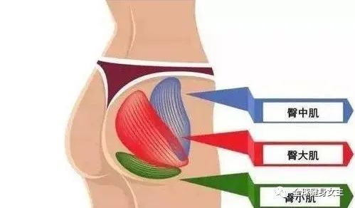 女孩子怎么可以没有翘臀？不会训练，这几个动作帮你改善