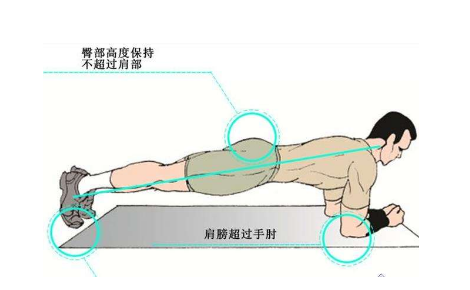每天进行50个平板支撑，21天后，你的改变是惊人的