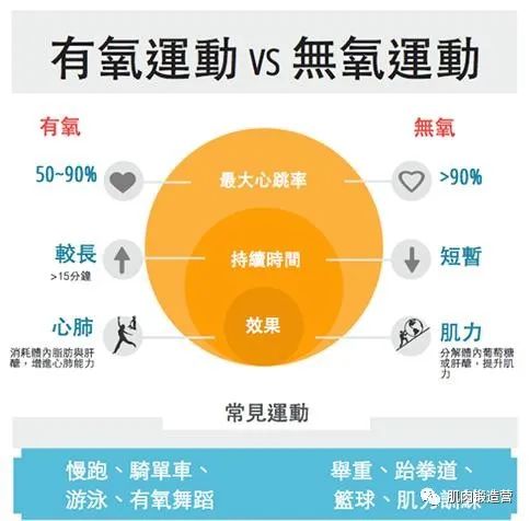 杠铃深蹲会伤膝盖？4个注意点，助你做出正确的杠铃深蹲