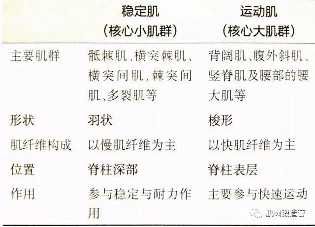 核心肌群有什么作用？它会使你重心更稳，4个动作强化核心肌群