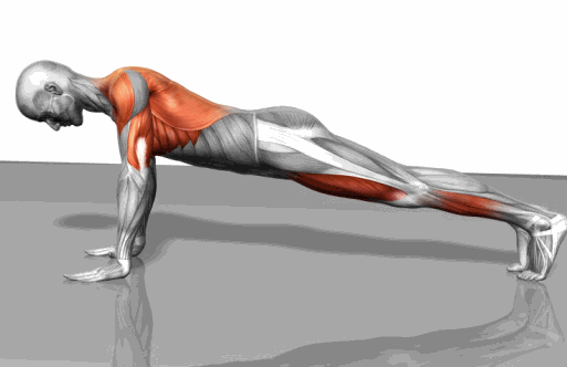 每天100个俯卧撑能练出肌肉吗？想练出肌肉，什么方法最科学