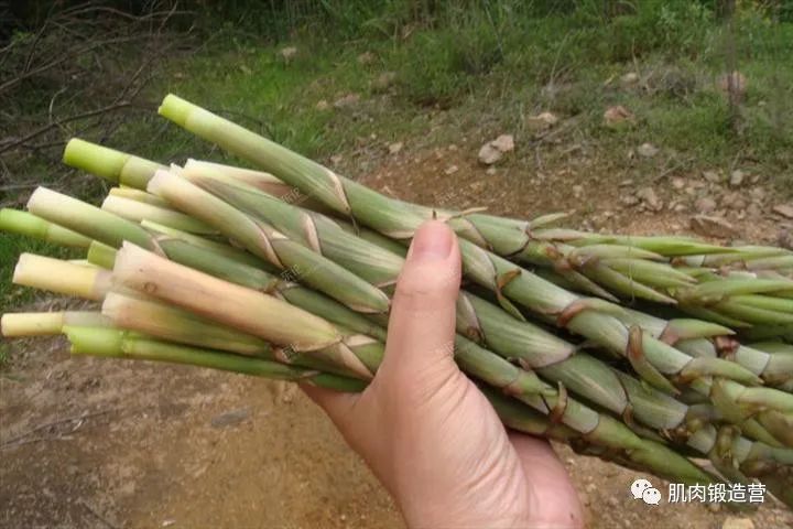 减肥期间不敢吃？注意这些饮食，减脂效率更高