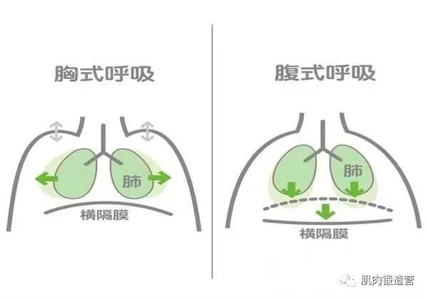 学生党，上班族注意了，你们可能正在丧失原始的呼吸法！