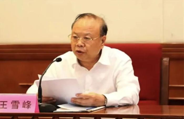 河北省人大常委会原党组成员、副主任王雪峰被开除党籍