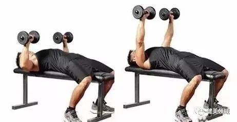高效训练动作，带给肌肉泵感，让手臂围度快速增加