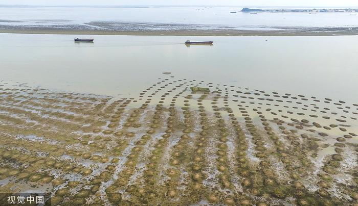 2023年7月20日，江西九江，鄱阳湖都昌印山附近水域大面积湖床裸露。 视觉中国 图