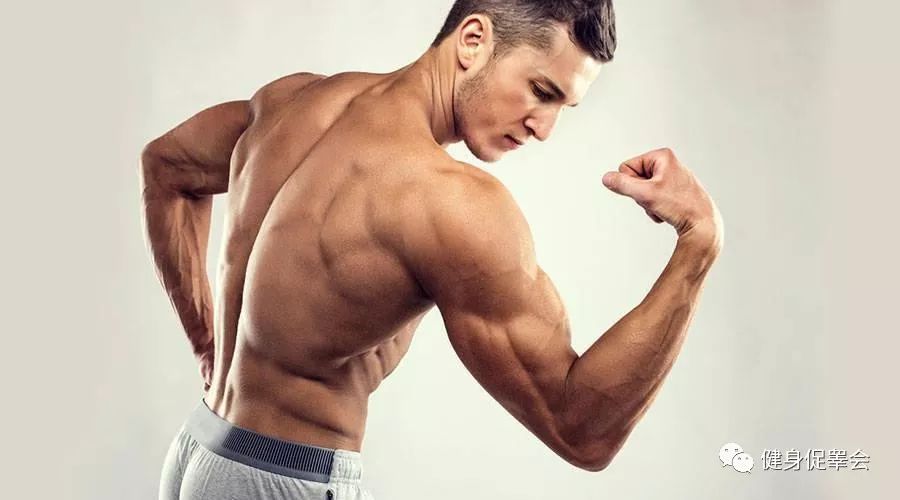 健身人梦寐以求的麒麟臂包括哪些肌肉？这样的手臂真的美吗