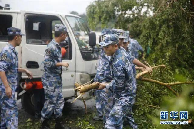 2016年9月15日，在福建厦门街头，部队官兵在清理被大风吹断的树木。图/新华社