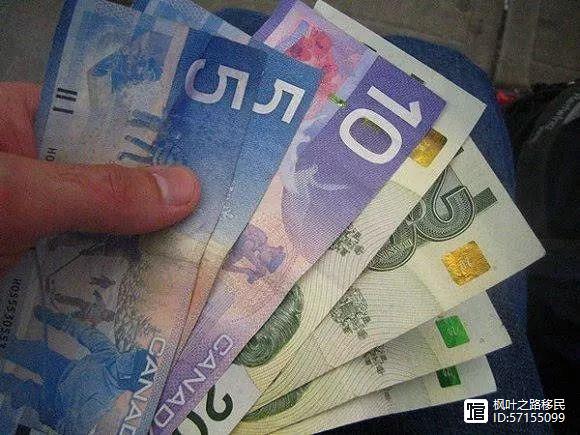 华人在加拿大赚多少钱？有人26岁年入10万加元，有人攒钱凑首付
