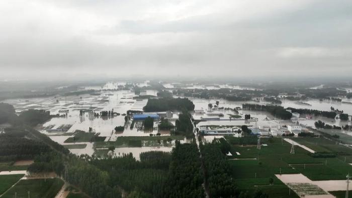 8月1日，河北省涿州市刁窝镇塔照村附近被洪水淹没 图/中新图片网