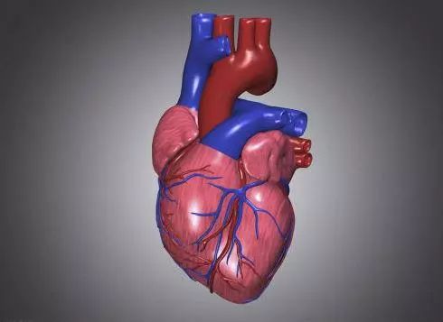 如何锻炼心肺系统？只要持续做这几个运动