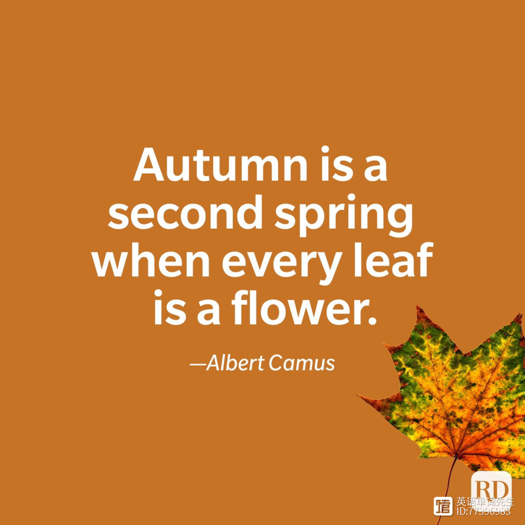 十个好句，赞美秋天。