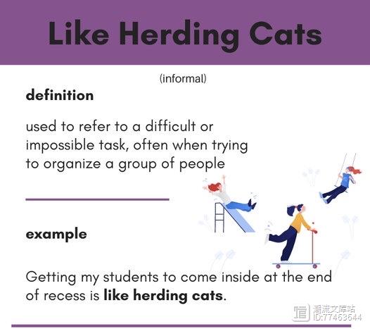 英语俗语： Like herding cats（像牧猫一样）
