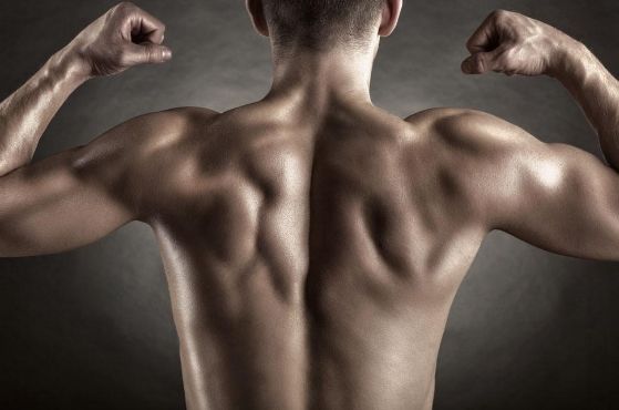 为什么你的后背练不出形状？4个拉伸运动带你塑造背部肌肉