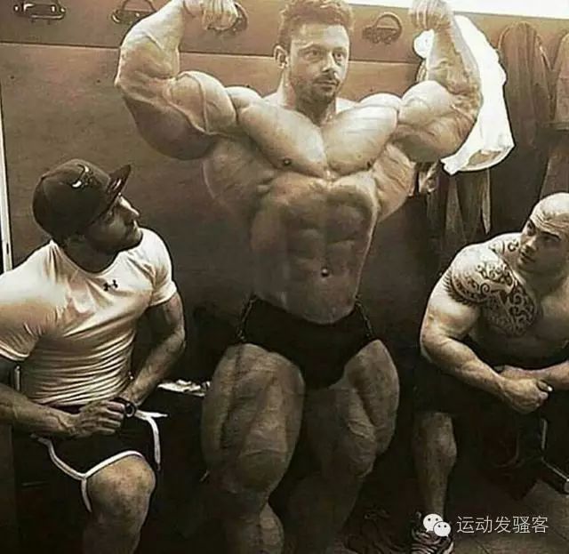 假如能认出图中三位以上肌肉怪兽，你才有资格说是资深健身爱好者