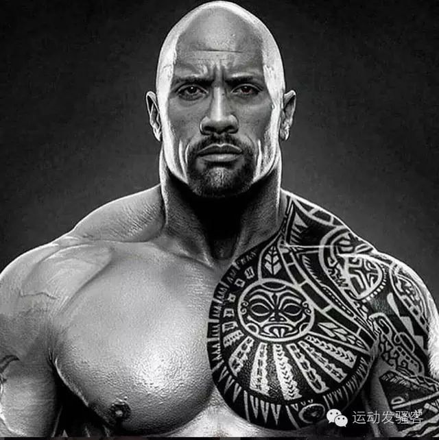 巨石强森的肌肉工程，世界健美冠军西斯大帝站在他面前都略有逊色
