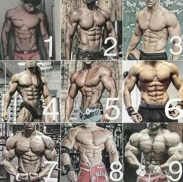 健身圈疯转的9种肌肉身形，对照一下你属于哪一种？
