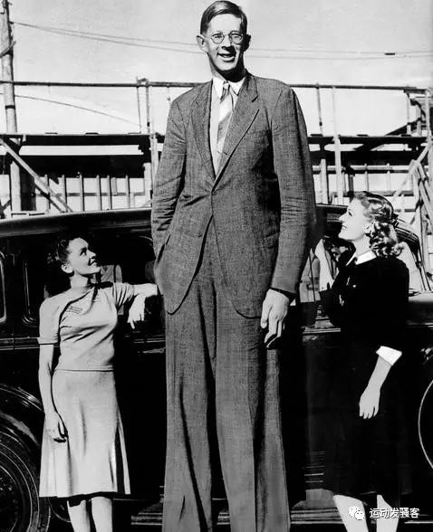 世界第一巨人高达2米74，打破人类身高的最高纪录
