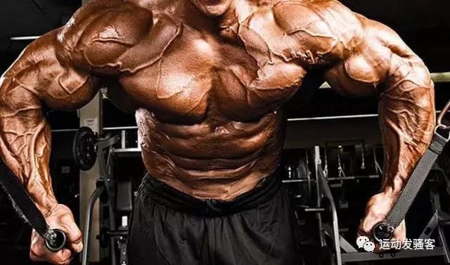 这块肌肉是男人的名片，6个动作打造属于你的闪亮标志