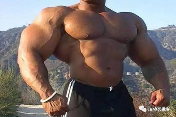 比施瓦辛格还要强壮的男人？肌肉实在太大，让人望而却步！