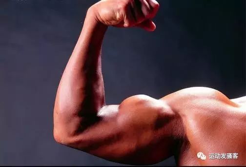 6种肱二头肌训练，炸裂你的上肢肌肉，让你更具型男气质