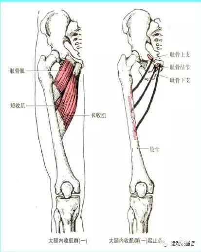 想拥有翘臀和美腿吗？6个徒手健身动作助你打造好身材