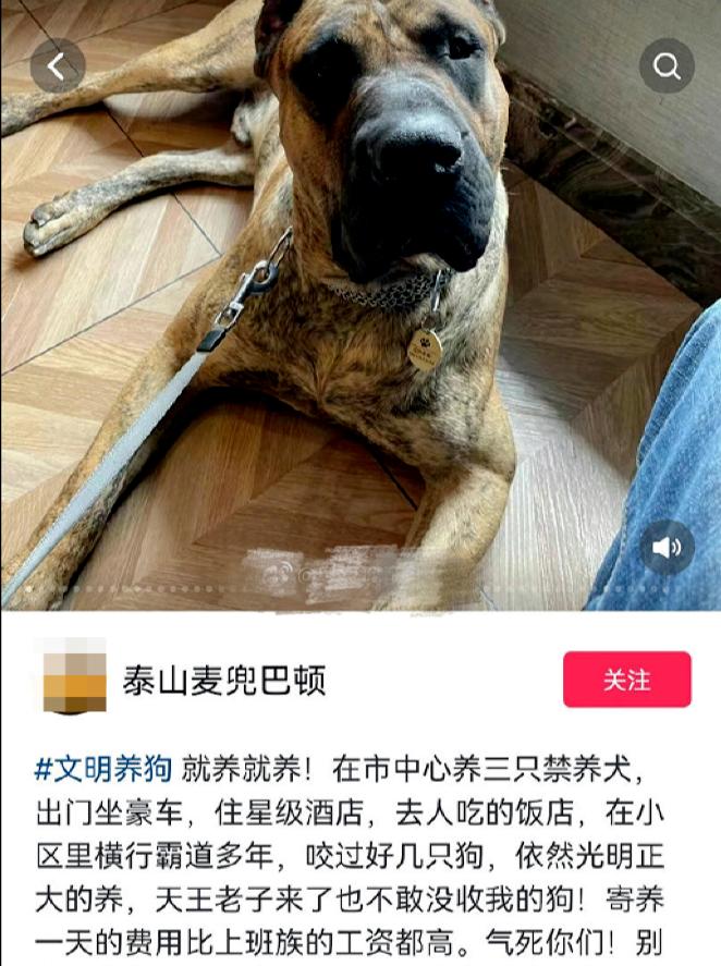 男子炫耀济南市中心养烈性犬？物业称狗主人已将狗带走 警方：处理结果会尽快发布