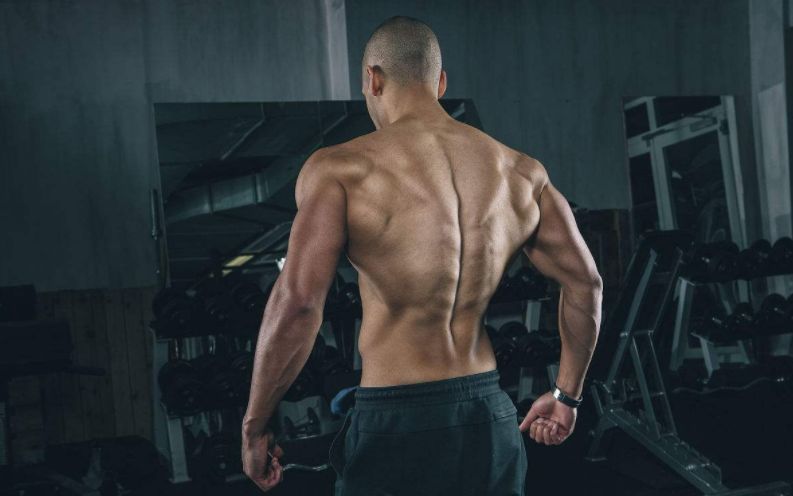 想让自己的背部肌肉突破极限？这些细节你要注意！