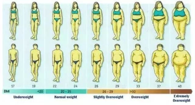 微胖的人更加长寿？另外正确减脂应该怎么做，这些点你知道吗？