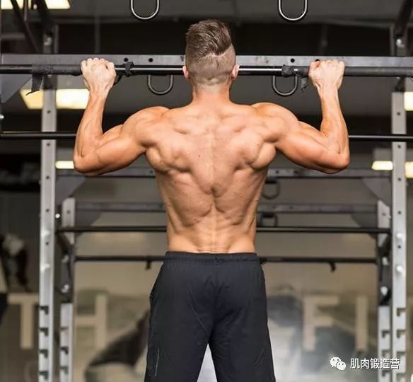 活肌肉是啥？死肌肉是啥？健身房里的大块头所拥有的是什么肌肉？
