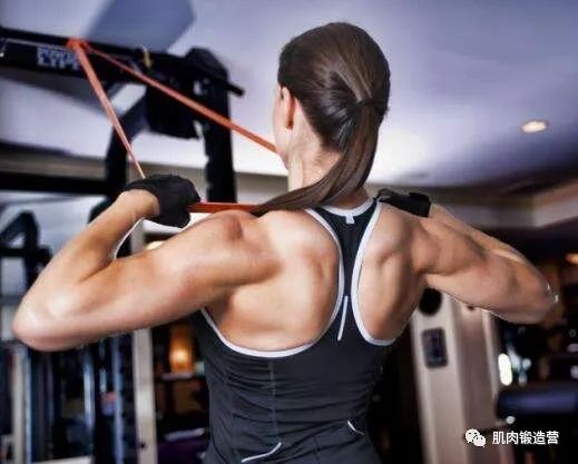 专注女性背部锻炼，3个动作，对背部进行全面的刺激
