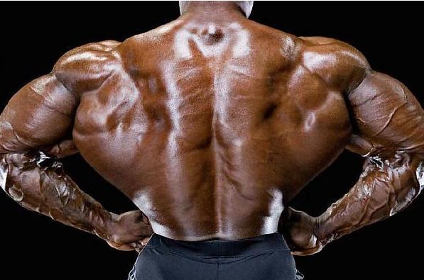 肌肉无力该如何解决？说好的肌肉越大、力量越大呢？